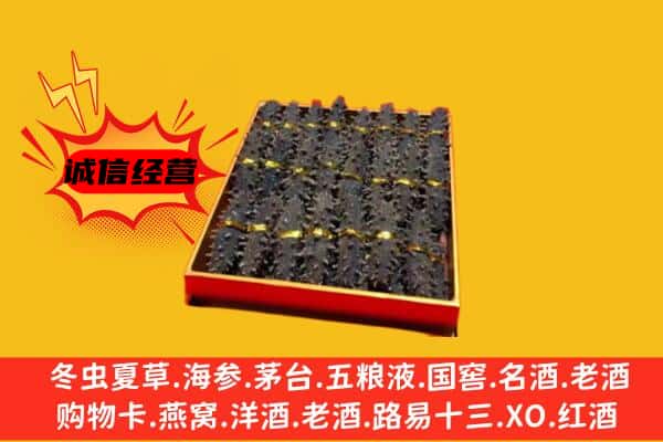 连云港市赣榆回收海参